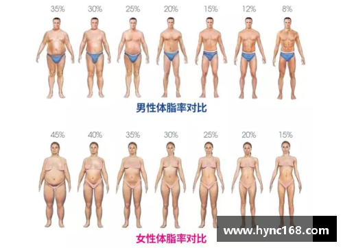 探索体脂率：从球员到健康的完美平衡